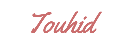 touhid's portfolio